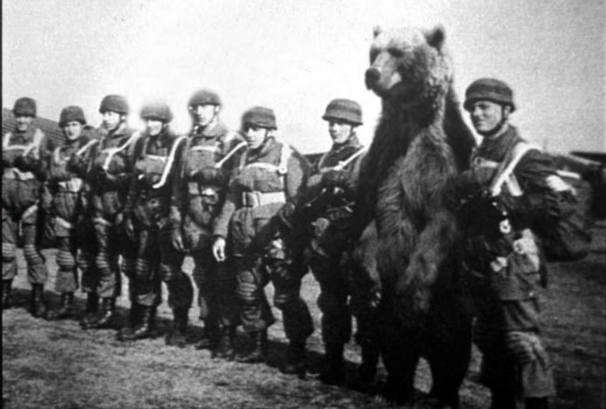 Wojtek the Bear: A True WWII Hero